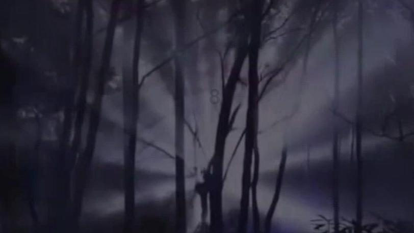 有谁知道这个美女是谁吗？游戏画面