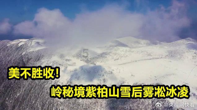 厦门国贸:国贸控股累计增持1354.08万股 增持金额9254.23万元
